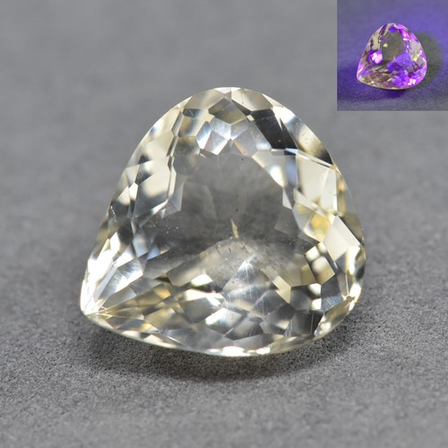 Scapolite nigeriana